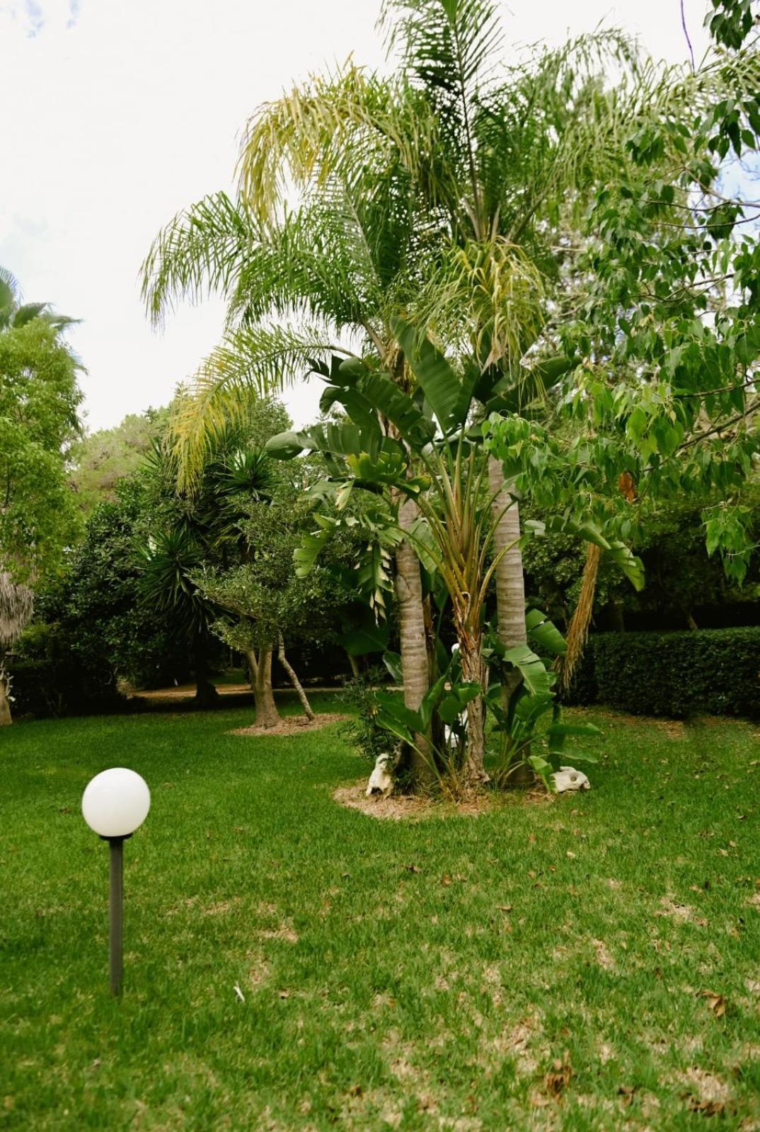 Appartamenti Frassanito Conca Specchiulla Exterior photo